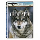 yellowstone: in the valley of the wolves + christmas in yellowstone DVD 2008 questar like new