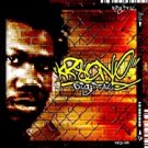 KRS one - d.i.g.i.t.a.l. CD 2004 x-ray front page 20 tracks used near mint KRS one - d.i.g.i.t.a.l. CD 2004 x-ray front page 20 tracks used near mint