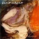 gavin lurssen - restless CD 1997 zebra acoustic 10 tracks used like new