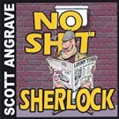 scott angrave - no shit sherlock CD autographed sterling entertainment used like new scott angrave - no shit sherlock CD autographed sterling entertainment used like new