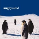 angry salad - angry salad CD 1999 atlantic used like new