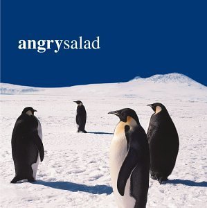 angry salad - angry salad CD 1999 atlantic used like new