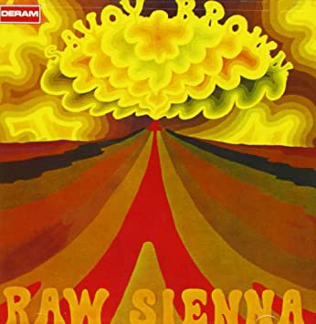 savoy brown - raw sienna CD 1990 deram decca 9 tracks used like new