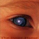 inner flame - tribute to rainer ptacek - various artists CD 1997 atlantic 4 tracks used like new