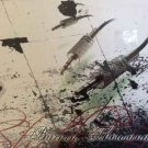 burnin' thousands - what's destined shall be CD 2004 zero velocity 7 tracks used