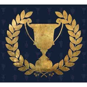 apollo brown + OC - trophies CD 2012 mello music group CD-MMG026 used like new