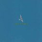 sea of green - time to fly CD 2000 music cartel TMC45CD used like new 12 tracks