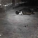 john zorn - naked city CD 1989 elektra nonesuch 26 tracks used like new
