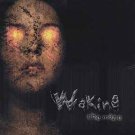 waking - the maze CD ep 2004 minotaur records used like new 7 tracks