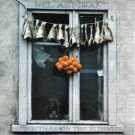 nel aspinal - christmas on the isthmus CD 1998 albert ayler's jukebox 10 tracks used like new