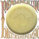 neil young with crazy horse - psychedelic pill HDCD 2-discs 2012 reprise used like new 531980-2
