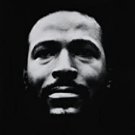 marvin gaye - vulnerable CD 1997 motown BMG Direct 10 tracks used like new