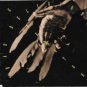bad religion - generator CD 1992 epitaph 11 tracks used like new E-86416-2