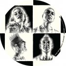 No Doubt - Push and Shove lp 2012 interscope records B001741301 picture disc new No Doubt - Push and Shove lp 2012 interscope records B001741301 picture disc new