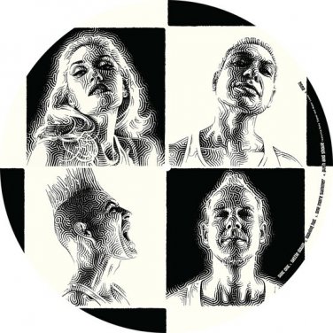 No Doubt - Push and Shove lp 2012 interscope records B001741301 picture disc new