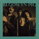 blodwyn pig - basement tapes CD 2000 HUX 13 tracks used like new HUX019