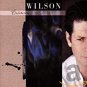 brian wilson - brian wilson CD 1988 reprise sire 11 tracks used like new 9 25669-2
