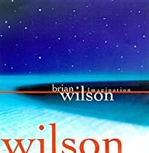 brian wilson - imagination CD 1998 giant 11 tracks used like new 9 24703-2