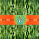 a six degrees collection: asia travel - various CD 2000 six degrees 10 tracks used very good a six degrees collection: asia travel - various CD 2000 six degrees 10 tracks used very good