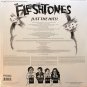 The Fleshtones &acirc;�� Budget Buster lp 2017 Yep Roc Records YEP2497 limited ed red and orange new