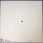 Mac Demarco – This Old Dog lp 2017 Captured Tracks CT260 download gatefold new