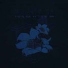 bright eyes - digital ash in a digital urn CD 2005 saddle creek used like new LBJ-73