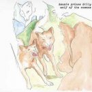 bonnie prince billy - wolf of the cosmos CD 2017 drag city palace used like new DC699CD/PR69CD