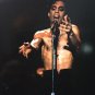 prince - white album CD toasted made in korea used like new CONDOR 1917