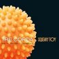 tre corda - squeaky toy CD digipak 2013 agitated cat 11 tracks new factory-sealed