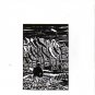manifesto - manifesto CD 1992 fire fat rabbit music 10 tracks used fire33030