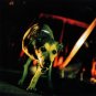 alice in chains - music bank 3CDs + disc 4: multimedia 1999 columbia used like new