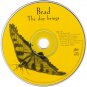 brad - the day brings CD single 1 track 1997 sony used like new