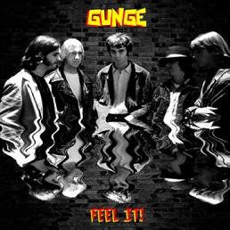 gunge - feel it! CD 2009 used like new 8 tracks frantic records 9393