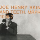 joe henry - skin and teeth CD promo single 1999 mammoth 1 track used like new MRPR 1036-2 joe henry - skin and teeth CD promo single 1999 mammoth 1 track used like new MRPR 1036-2