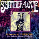 summer of love volume 2: turn on - various CD 1992 rhino 16 tracks like new R2 71066 summer of love volume 2: turn on - various CD 1992 rhino 16 tracks like new R2 71066