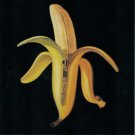dandy warhols - welcome to the monkey house CD enhanced promo 2003 like new CDP 7243 5 84368 0 8