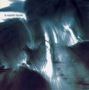 G&Atilde;&frac14;nter M&Atilde;&frac14;ller / L&Atilde;&ordf; Quan Ninh - la voyelle liquide CD 2000 like new 7 tracks erstwhile 010