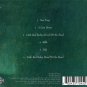 robert wyatt - rock bottom CD 1998 thirsty ear 6 tracks like new thi 57045.2
