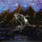 david gray - skellig CD cardsleeve 2021 laugh a minute new factory-sealed LAMCD2102