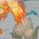poi dog pondering - natural thing CD slipcase 1999 platetectonic 11 tracks used TBCD 1319