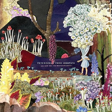 psychedelic porn crumpets - and now for the whatchamacallit CD cardsleeve 2019 marathon artists new