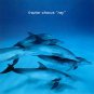 frazier chorus - "ray" CD 1991 charisma 10 tracks like new 91641-2