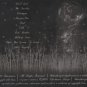dissonance - death lily CD 2004 10 tracks new factory-sealed