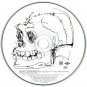 allen ginsberg, paul mccartney, philip glass, lenny kaye - ballad of the skeletons CD 1996 mercury