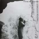 Tisziji Muñoz - auspicious healing! CD 2000 anami music 7 tracks like new AM0018