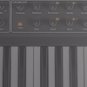 Dave Smith Prophet ‘08 Kontakt Library NKI Virtual Instrument Software