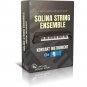 Solina String Ensemble Kontakt Library VST Virtual Instrument Software