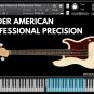Fender American Professional Precision Kontakt Library  - Virtual Instrument NKI VST Software