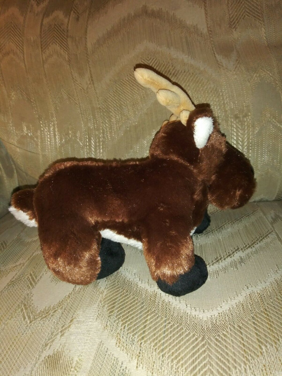 reindeer webkinz