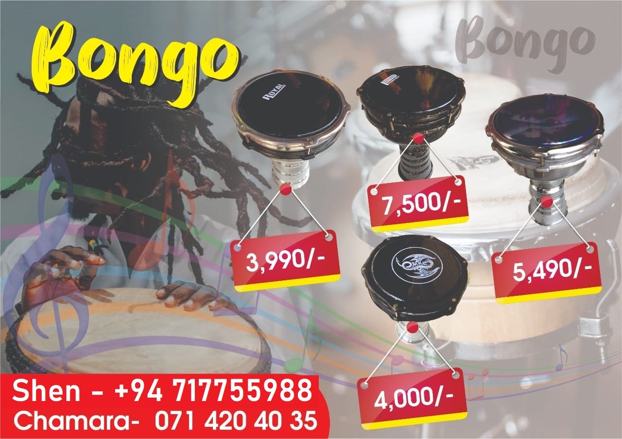 Bongo